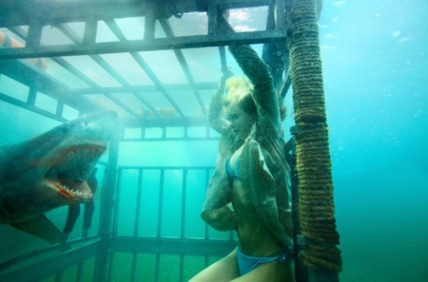 sharknight 3d still 615.jpg